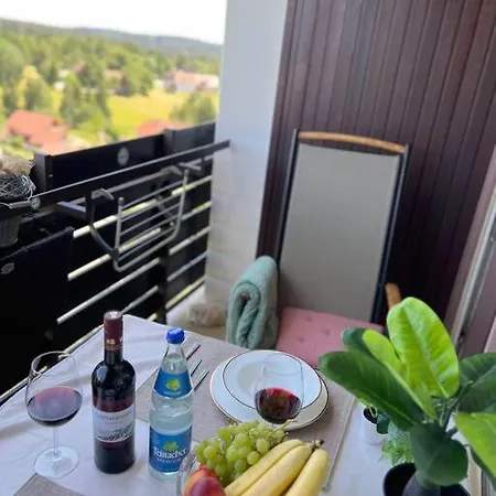 Ankommen & Wohlfuhlen Am Kniebis! Toller Ausblick!
