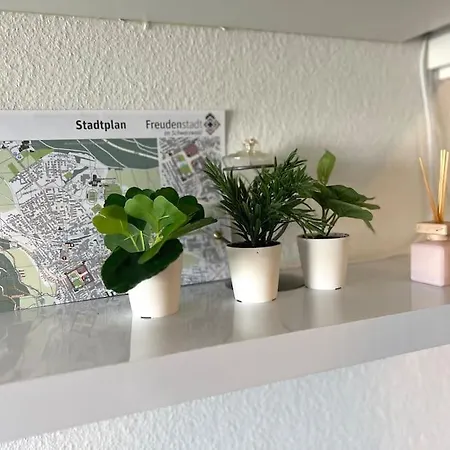 Ankommen & Wohlfuhlen Am Kniebis! Toller Ausblick! Apartment