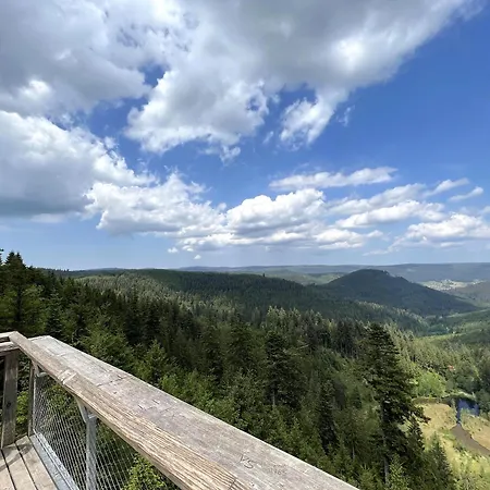 Ankommen & Wohlfuhlen Am Kniebis! Toller Ausblick! Apartment *